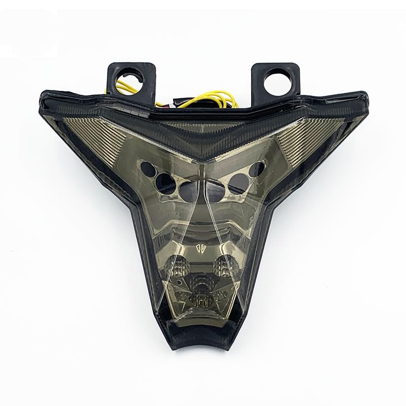 Motorcycle Taillight Brake Tail Light Motorcycle Accessories Blinker Lamp For KAWASAKI Z 1000R 2017-2021