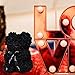 DuHouse 10 inch Rose Bear Artificial Plant for Anniversary, Birthdays, Bridal Showers - Fully Handmade, Unique Gift Box (Black)