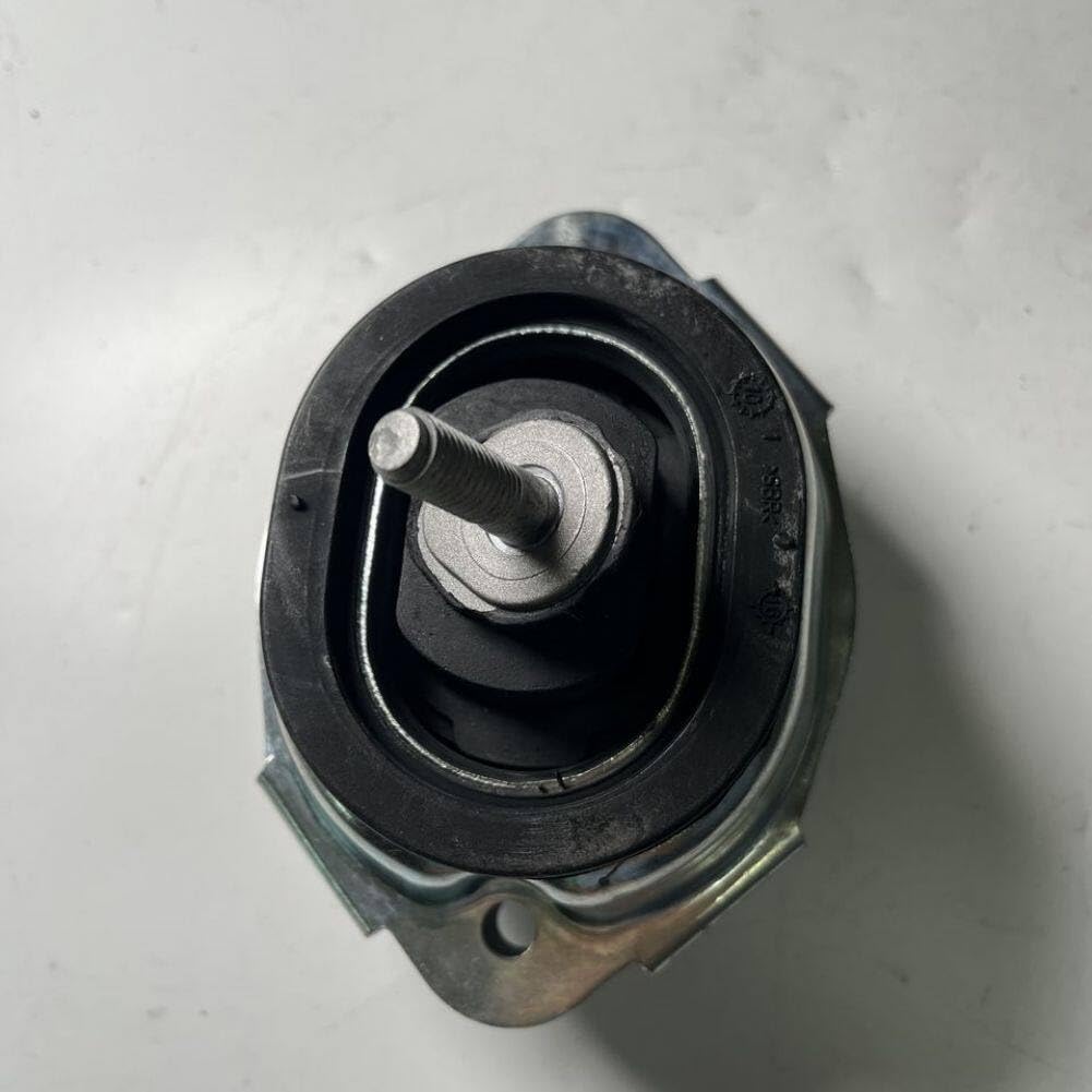 Amazon.com: CHERISH-AUTO 1PCS OEM 22116770793 22116758428 Engine ZULU & ZEPHYR 水着オーストラリア正規購入新品未使用