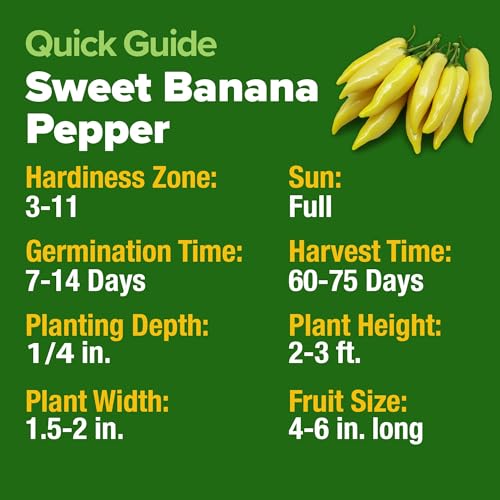 Image of HOME GROWN Sweet Banana Pepper Seeds 188+ Heirloom Non-GMO Seeds for Planting, High Germination, Mild Yellow Sweet Peppers, Prolific Garden Crop, Perfect for Pickling & Salads (Capsicum annuum)