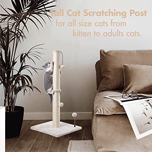 MECOOL 34” Tall Cat Scratching Post Premium Basics Kitten Scratcher Sisal Scratch Posts Trees with Hanging Ball for Indoor Cats, Beige - Image 6