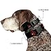 Dog Collar Plastic Clip Deadpool Logo Black Red White 9 to 15 Inches 1.0 Inch Wide, Multicolor