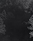 Awoiska Van Der Molen - Sequester