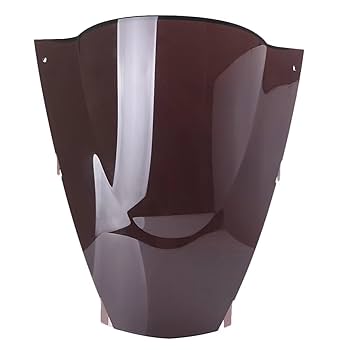 Amazon | バイク用ウインドシールド For ZX12R 2002 2003 2004