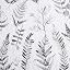 Grey Ferns
