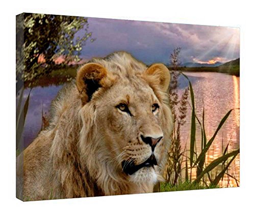 Toile tendue The King de qualité galerie avec encadrement bois premium 40x50cm