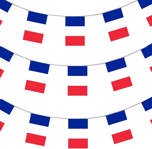 I LOVE FANCY DRESS 33FT FRENCH FLAG 20 FLAGS 10 METERS BUNTING PARTY DECORATION ALL WEATHER BUNTING BASTILLE DAY FRANCE EVENT BANNER
