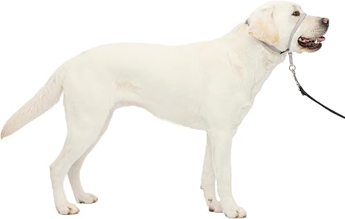 Miniatura 16 de Collar suave de conducción con DVD de entrenamiento PetSafe, Negro Manzana Verde (Apple Green),Negro -,Carbón vegetal,Violeta