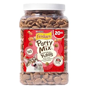 Purina Friskies Natural Cat Treats Party Mix Natural Yums With Real Salmon and Added Vitamins, Minerals and Nutrients – 20 Oz. Canister