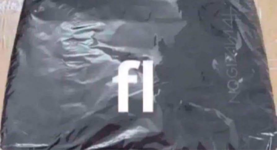 Amazon.co.jp: ガジェットケース ペンライトケース 乃木坂46 ライブで