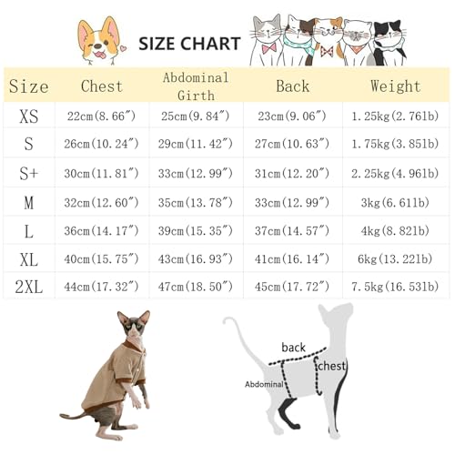 Sweatshirt pour chat Sphynx pull chaud chaton sans poils hiver
