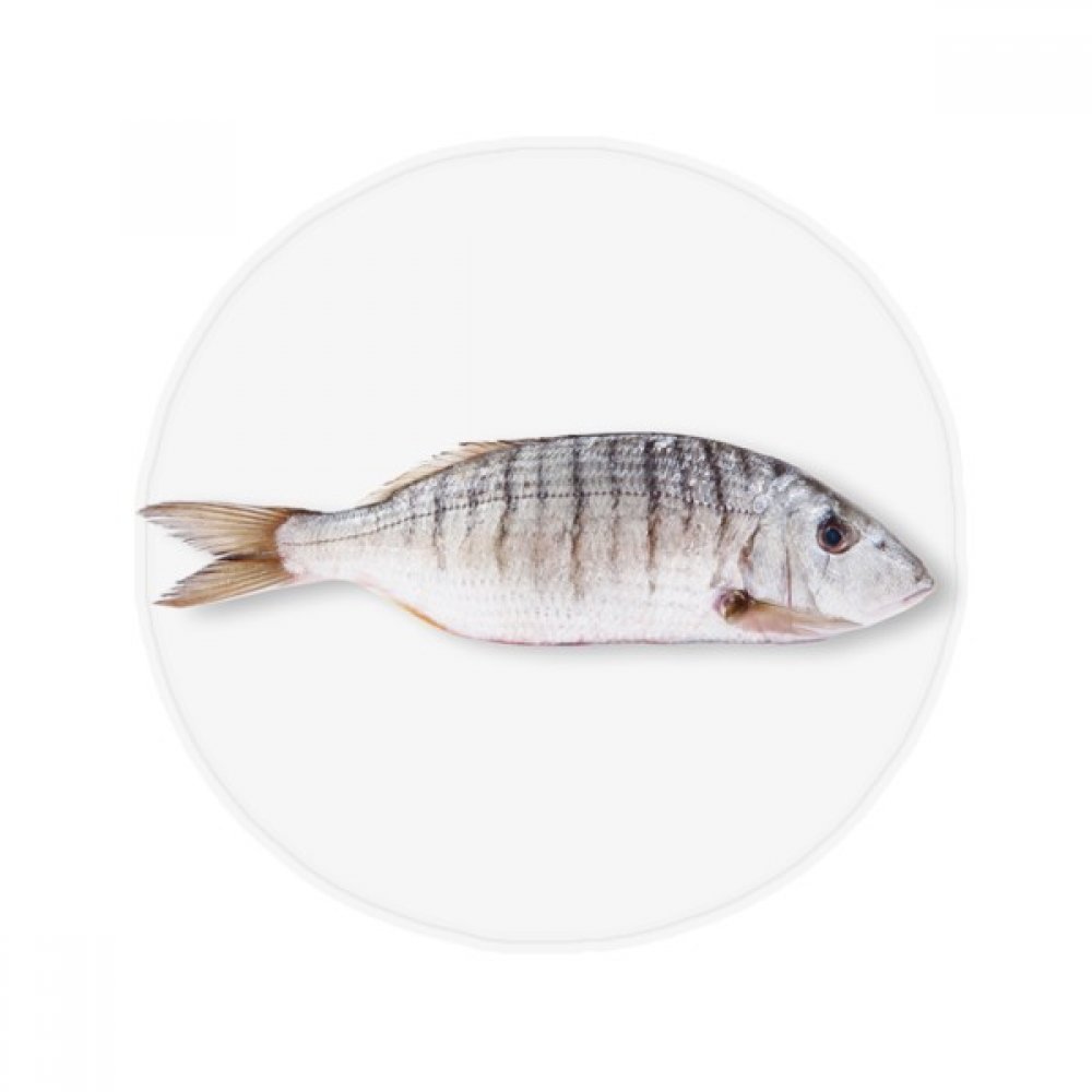 Tapis océan poisson curly cadeau original de 50 cm pour décoration de salle de bain
