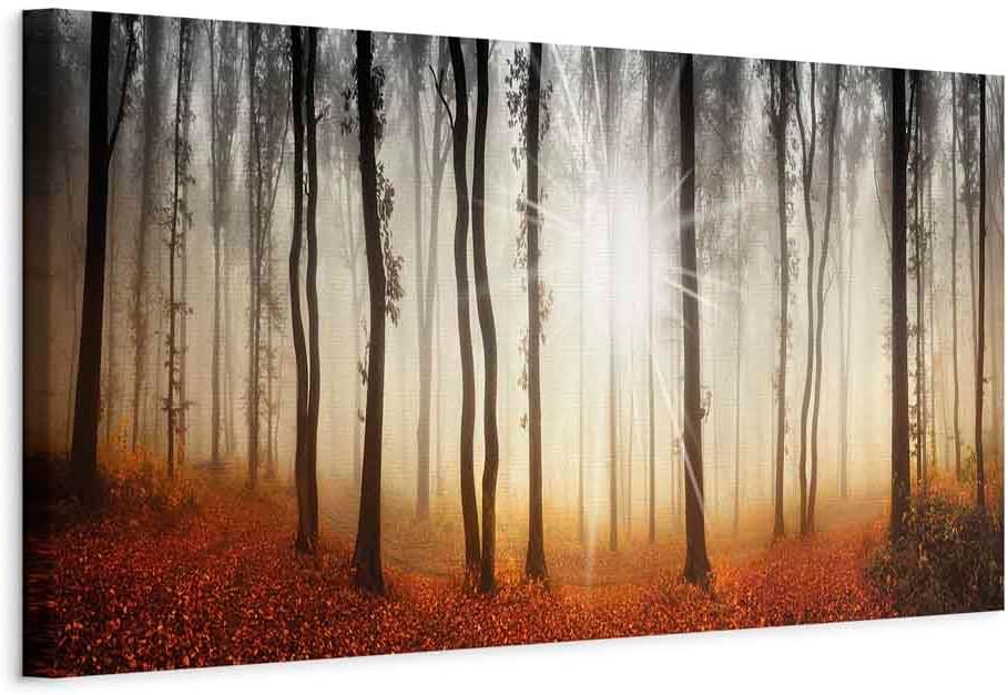 artgeist Acoustic Canvas Wall Art Print Forest 47x16 in - 1pcs Picture with Acoustic Foam Sound Print Artwork Room Acoustics Soundproofing c-B-0243-b-a