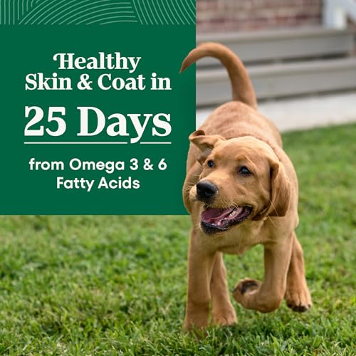 Nutro Natural Choice Large Breed Puppy Dry Dog Food, Chicken, 30 lb | Real chicken #1 ingredient, non-GMO, no corn, wheat, soy, supports brain & eye development, bones, muscles & joints - Image 4