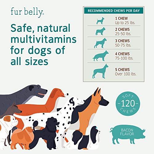 Dog Multivitamin With Hemp - Dog Vitamins - Organic Hemp Oil - Dog Joint Supplement - Probiotics For Dogs - Omega 3 Fish Oil For Dogs - Immune Support - 120 Soft Chew Dog Probiotics - Made In Usa #TOP4