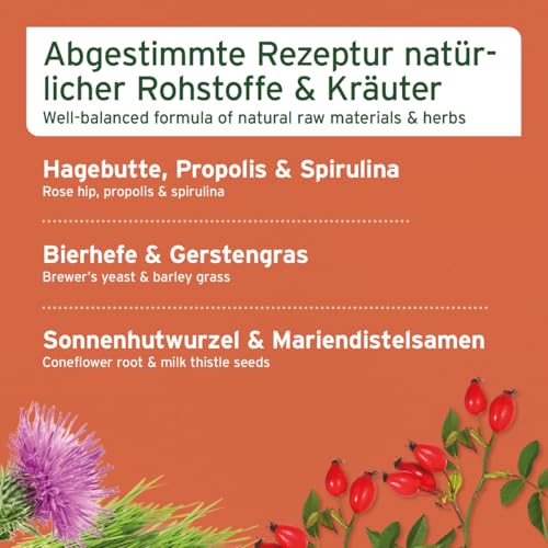 AniForte Immun Aktiv für Hunde & Katzen 250g - Kräutermischung für mehr Vitalität & Wohlbefinden, natürliche Abwehrkraft, Stärkung des Immunsystem, reich an Mineralien, ohne künstliche Zusätze, Natur