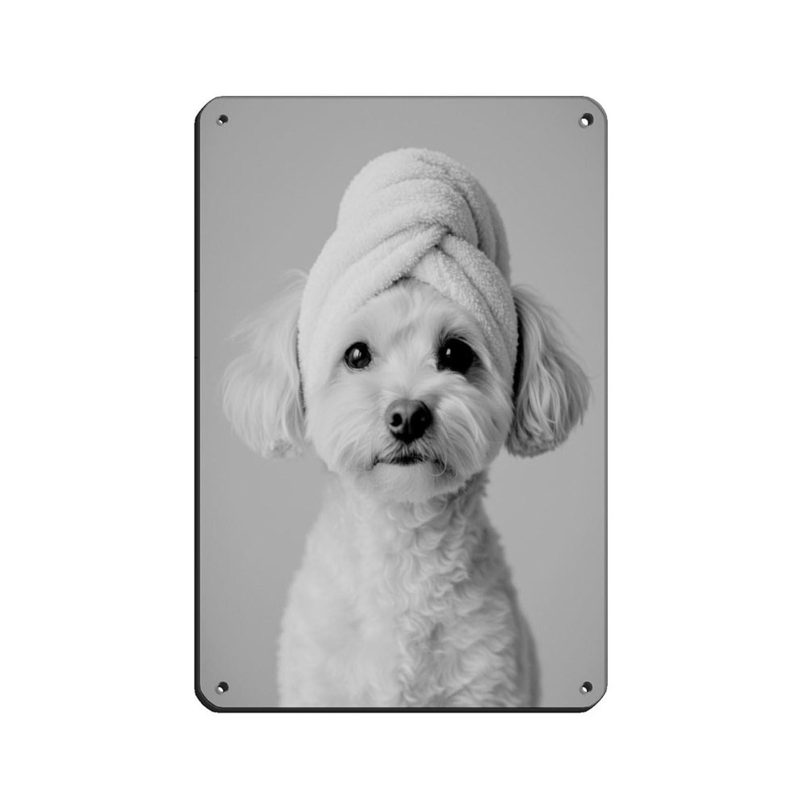 Bathroom Spa, Poodle Bichon Frise Dog Tin Sign Vintage Metal Pub Club Cafe Bar Home Wall Art Decoration Poster Retro 8x12inch(20x30cm)