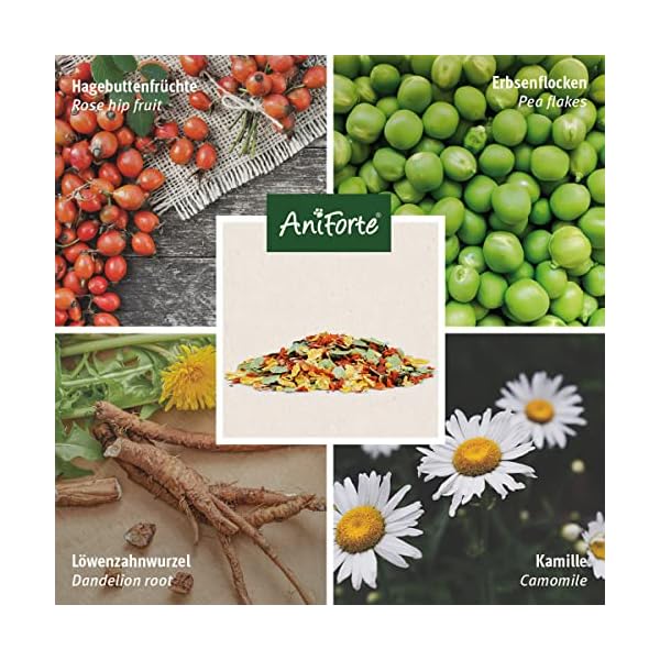 AniForte Natur Nagerfutter für Hamster, Meerschweinchen, Kaninchen, Nager 4,5kg - Artgerechtes Futter mit Gemüseflocken, Getreide, Luzerne und Kräutern - Ohne künstliche Zusätze – Bild 4