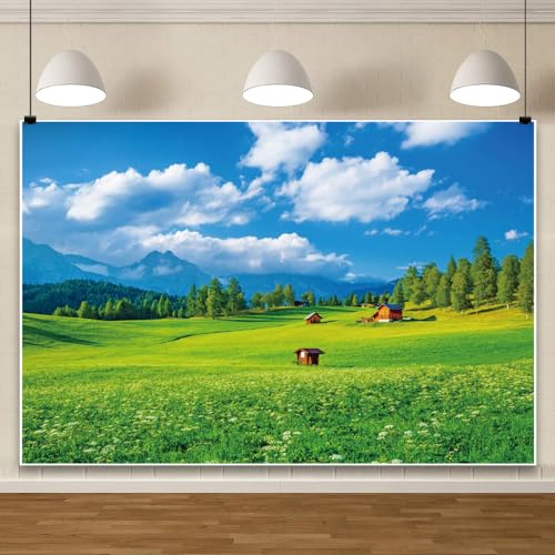 Fondo para fotografía con paisaje natural 10x8 ft