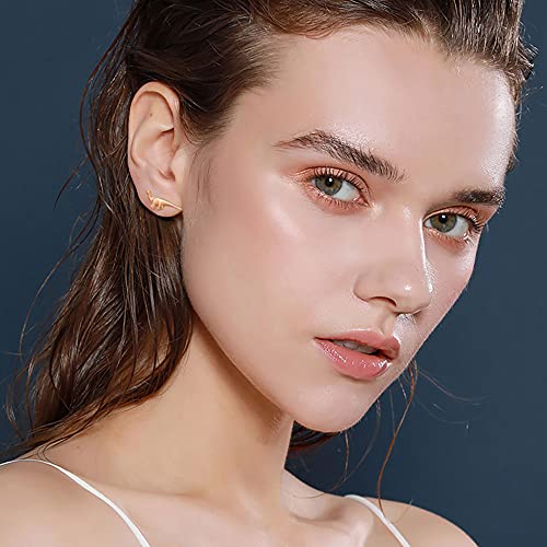 Dinosaur Stud Earrings 14K Gold Plated 925 Sterling Silver Post Stud Earrings Animal Earrings For Women Girls #TOP1