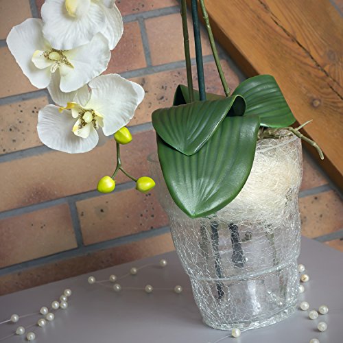 Pot van keramiek, serie Orchid van Polnix, transparant, diameter 13,5 cm, hoogte 16,5 cm - Image 6