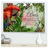 PREMIUM-LINIE - Brillanter Fotokalender mit 12 wunderschönen Motiven, Kunstdruck in Hochglanz in Museumsqualität