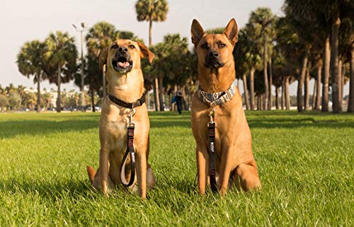 Leashboss Short Dog Leash for Dog Training | Padded Traffic Handle Short Leash for Dog Training, Total Comfort When Dog… - Image 5