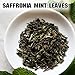 Saffronia Dried Mint Leaves, Aromatic + Vegan Friendly Mint Flakes, Carefully Packaged In Resealable Bag, Ideal for Mexican, Indian, Mediterranean & Asian Cuisine- 6 Oz (170 g)
