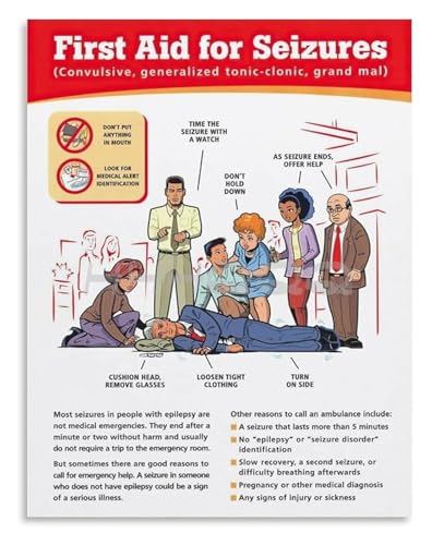 Safety Poster First Aid for Seizures First Aid Poster Canvas Wall Art Prints for Living Room Bedroom Office Decor(Unframed,16x24inch(40x60cm))