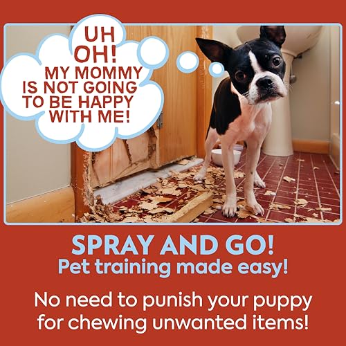 Image of OUT! PetCare No Chew Spray for Dogs, Dog Deterrent, Bitter Cherry, 32oz | Bitter Spray for Dogs, Dog Chew Deterrent, Anti Chew Training, Discourages Licking, Non-Staining, Behavior Correction