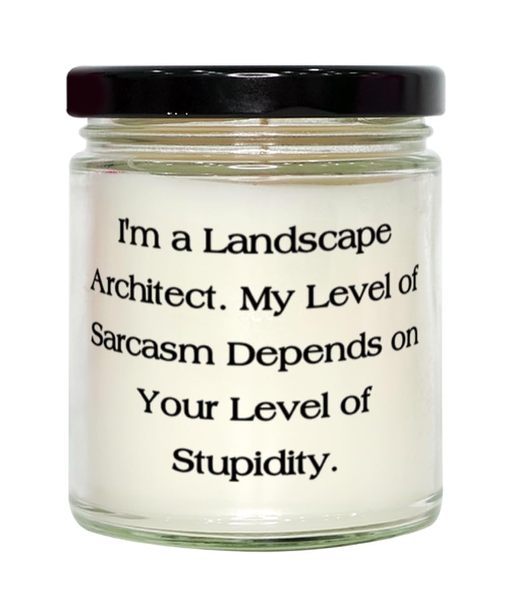 Joke Landscape Architect Gifts, I'm a Landscape Architect. My, Unique Birthday Scent Candle for Coworkers, from Team Leader