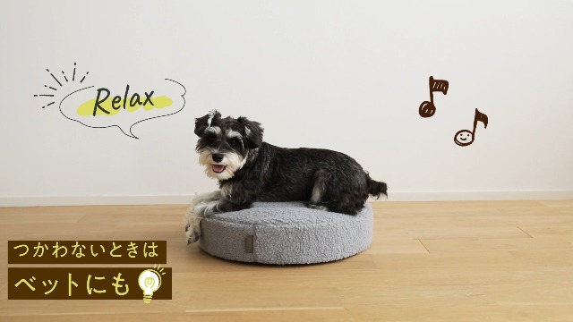Amazon | [＋won] [プラスワン]バランスドギー 犬用 バランスボール 筋