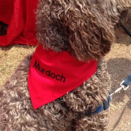 Hundehalstücher mit Namen, Foto, Logo, personalisierbar, für kleine, mittelgroße und große Hunde, Welpen, Katzen
