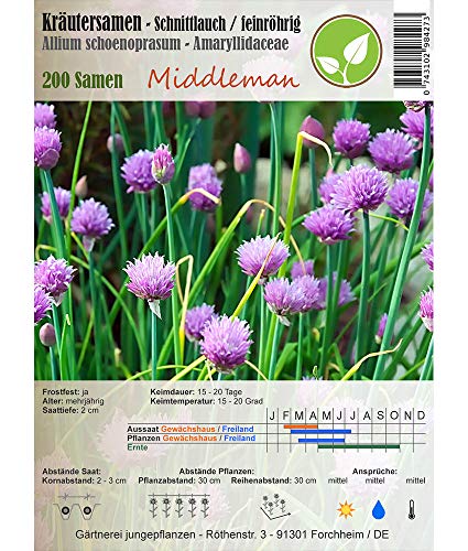 Jungepflanzen Semi di Erbe - Erba cipollina/Allium...