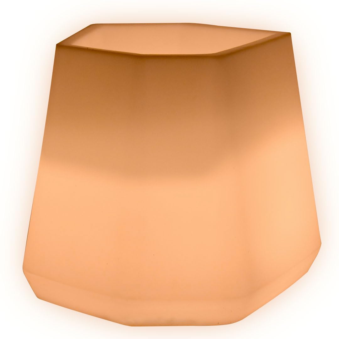 Danieli Vasi Luminosi da Giardino | Vaso luminoso da interno ed esterno | Fioriera e Vasi a led a risparmio energetico 100% Made in Italy (MEDIUM, Bianco CALDO)