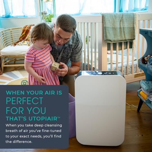 Alen BreatheSmart 35i Air Purifier の商品画像 4
