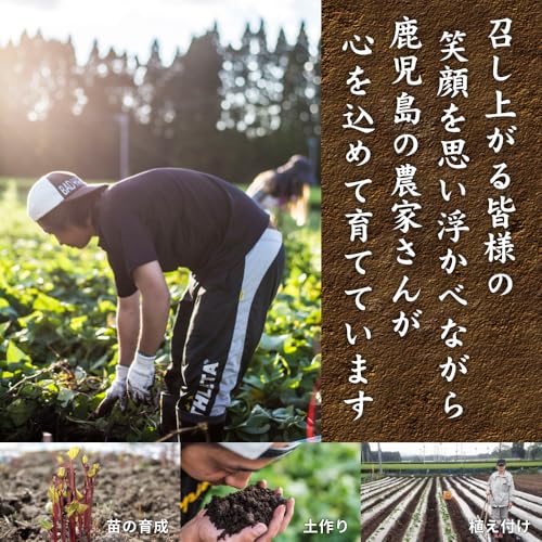 わっぜか本舗 薩摩 あま蜜 完熟焼き芋 紅はるか 3kg (冷凍焼き芋) の商品画像 5
