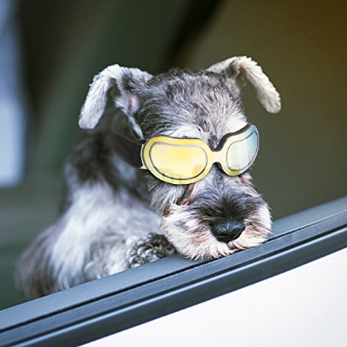 Enjoying Dog Goggles Small Dog Sunglasses Uv Protection Big Cat Glasses Fog/Windproof Outdoor Doggy Eye Protective With Adjustable Band For Small Dogs, Yellow #TOP1