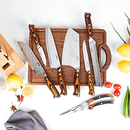 Durust Kitchen Knife Set With Beech Wood Block, 9-Piece 5Cr15Mov Stainless Steel Knives With Pakkawood +S/S 430 Bolster Handle, #TOP6