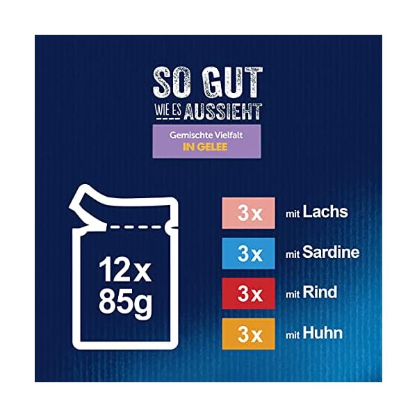 FELIX PET_FOOD – Bild 6