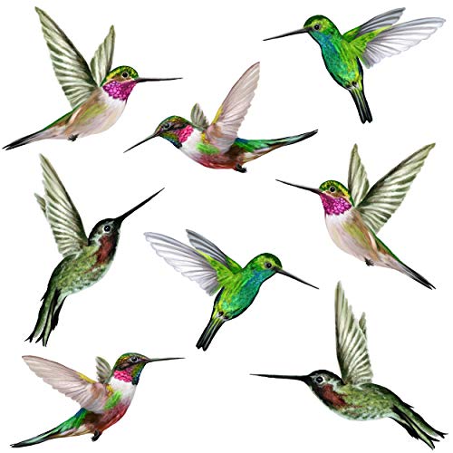 Stickers pour Fenêtre - 8 Superbes Stickers Electrostatiques Décoratifs au Motif Colibri - Permet d’éviter Que Les Oiseaux Ne Se Cognent dans Vos Fenêtres Cover