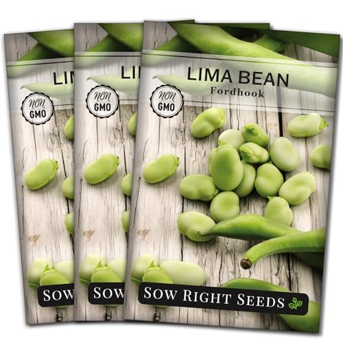 Sow Right Seeds - Fordhook Lima Bush Bean Seeds for Planting - Non-GMO Heirloom Packet with Instructions to Plant an Outdoor Home Vegetable Garden - Stringless Variety - Protein Packed Bush Bean (3)