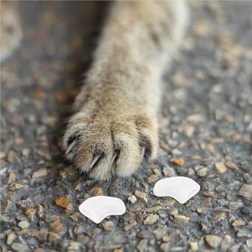 Tapas de uñas para gato que protegen la piel de arañazos durante el juego 7