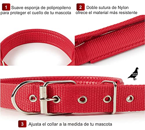 Collares Y Correas, Pet Products Imagen adicional