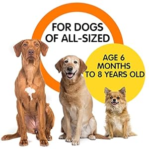   nzonpet-Anti-Barking-Device-Ultrasonic-3-in-1-Dog-Barking-Deterrent-Devices-3-Frequency-Dog-Training-and-Bark-Control-164Ft-Range-Rechargeable-with-LED-Light-and-Wrist-Strap-Yellow