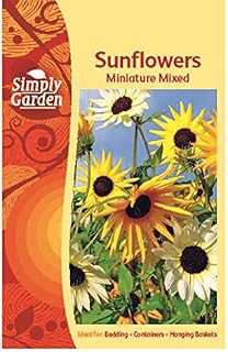 Simply Garden Nasturtium Tom Thumb Upright Seeds Grow Your Own Multicoloured Flowers