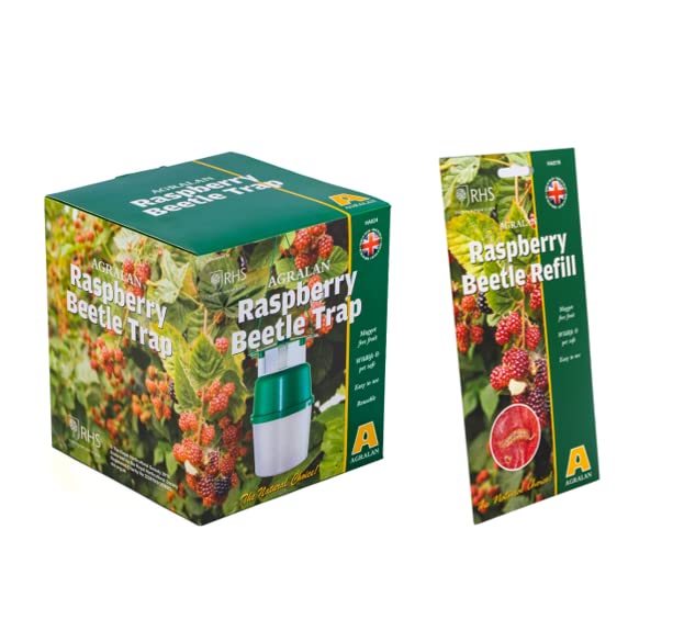 Agralan RHS Approved Natural Pheromone Lure Traps & Refills | Codling Moth | Plum Moth | Box Tree Moth | Chafer Beetle | Raspberry Beetle Control (Raspberry Trap & Refill)
