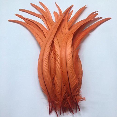 Sowder Orange Rooster Coque Tail Feathers 16-18inch Lengh Pack of 20 - Image 4