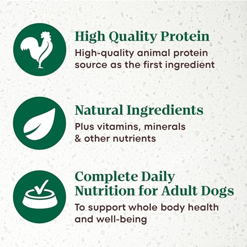 Nutro Ultra Filets in Gravy Wet Dog Food, Tender Beef, 3.5 oz, 24 Count - image 3