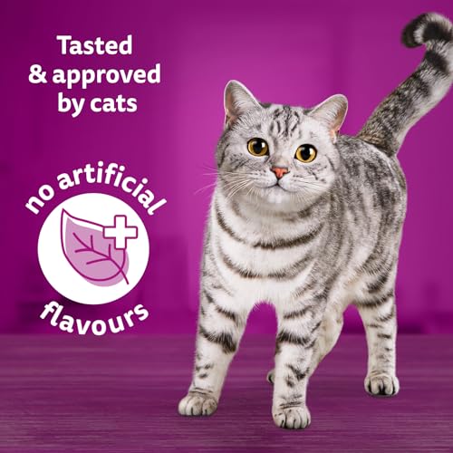 WHISKAS Seafood Selections Wet Cat Food Paté Multipack - 6 Whitefish and Tuna, 6 Salmon, 12x100g Tray image 1